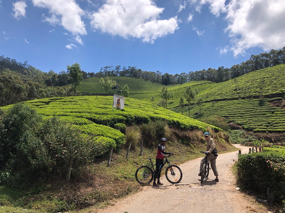 4 Days Cycling Tour to Munnar Periyar